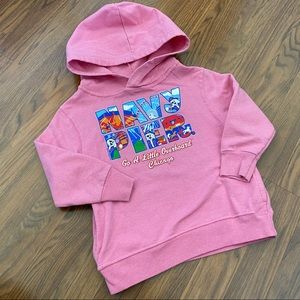 Size 3T navy pier hoodie